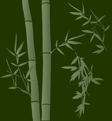 bamboo branches on green background