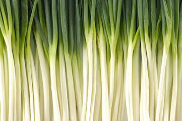 texture background of fresh Scallion
