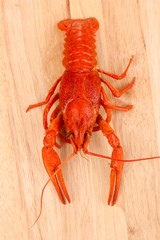 Tasty boiled crayfish on chopping board close-up