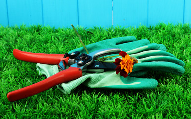 Secateurs with flower on grass on fence background