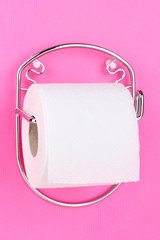 Roll of toilet paper on  holder fixed to wall
