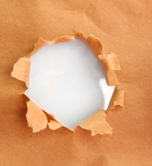 Torn kraft paper background