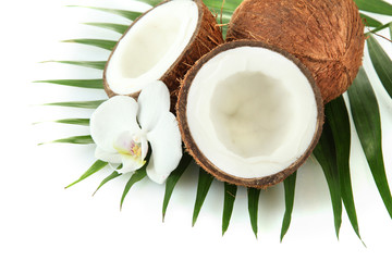 Coconuts with leaves and flower, isolated on white