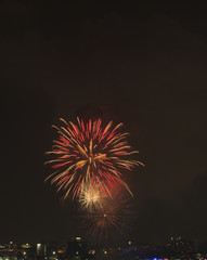 Fireworks  in the sky
