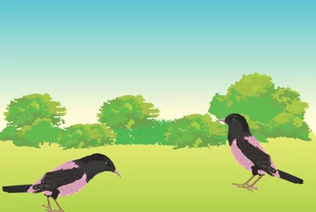 Muurstickers Vogel De roze slingers vectorillustratie