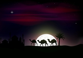 Fototapeta na wymiar camel sylwetki wycieczka w nocy