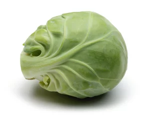 Poster brussel sprouts © mates