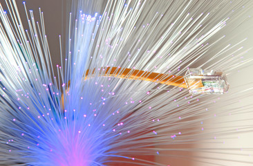 Network cables with fiber optical 