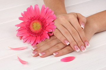 Fototapeta premium Woman hands with french manicure and flower
