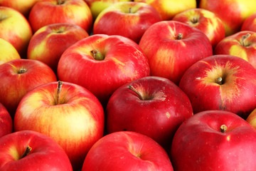 juicy red apples, close up