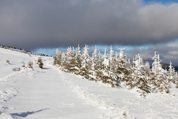 Winter Carpathian mountains