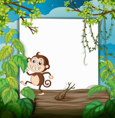 A monkey and white board in nature