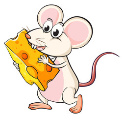 A mouse eating cheese