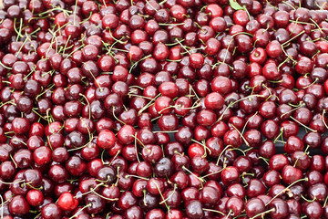 Red cherries for sale at farmers market