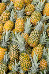 Pineapples at fruit market