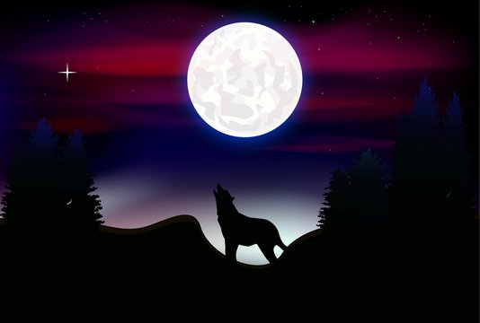 a wolf howling at the full moon
