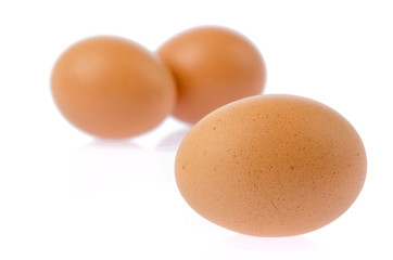 Eggs on a white background