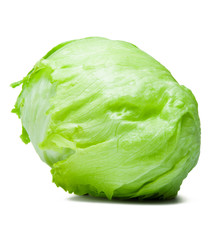 Iceberg Lettuce Alcapucci