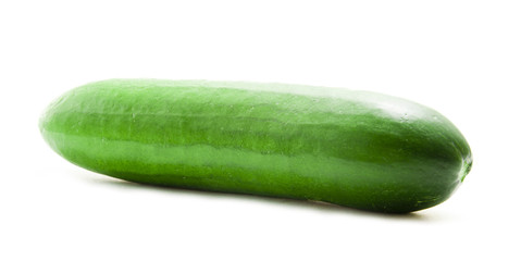 Single Cucumber Fruit