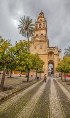 Obraz premium Mezquita-Cathedral Minaret, Cordoba