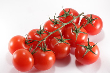 tomatoes