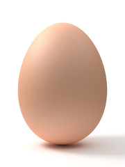 Brown Egg