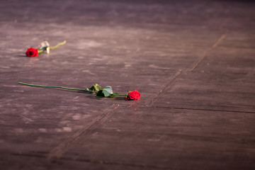 Naklejka premium red roses on wooden floor