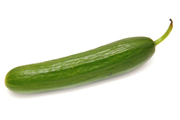 Ripe cucumber
