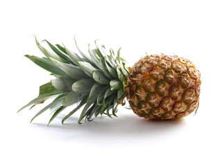 Lying pineapple