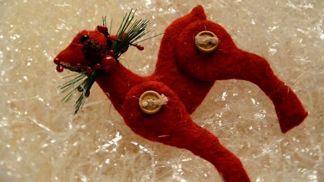 Rangifer tarandus 순록 Северный олень 驯鹿