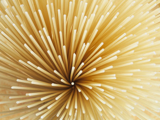 pasta spaghetti macaroni isolated