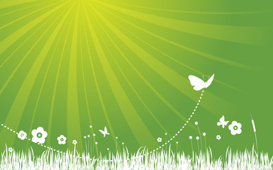 Garden Background Green