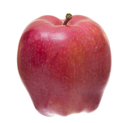 Ripe red apple isolated on the white background.