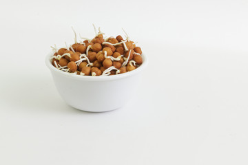 bowl of chickpea sprouts against white background
