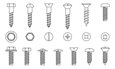 Set of screws, vector - obrazy, fototapety, plakaty