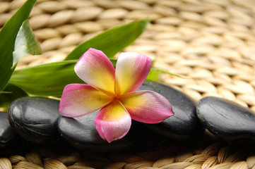 Massage stones and orchid with green plant on woven mat