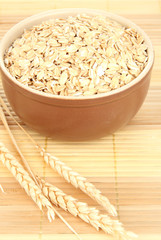 Brown bowl full of oat flakes