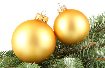 Fototapeta na wymiar Christmas balls on fir tree with snow, isolated on white