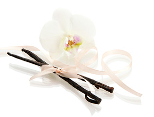 Vanilla pods with flower isolated on white