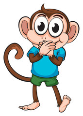 A monkey