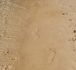 Fototapeta na wymiar footprints in the sand at the beach
