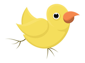 Chicken Bird Vector