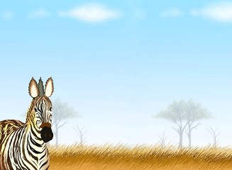 Fototapeta na wymiar Postcard and Note Paper of A Zebra in Safari