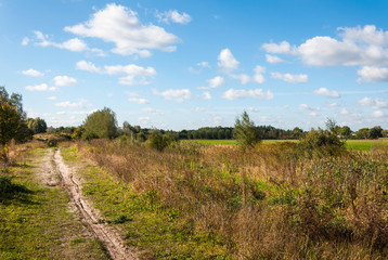 Fototapeta na wymiar Wąska ścieżka, piasek w wiejskim krajobrazie