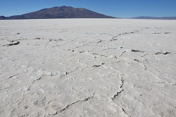 Salar de Coïpasa en Bolivie