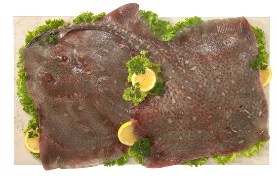 Pesce rombo - Flatfish