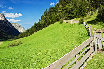 Fototapeta na wymiar Alpine łąka z ogrodzeniem w Alpach