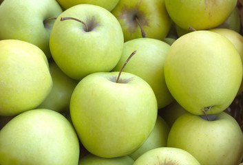 Many ripe green and yellow apples closeup