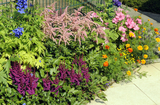 Sommerblumen_9004
