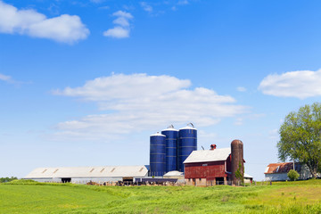 Fototapeta na wymiar American Countryside With Cows and Farm